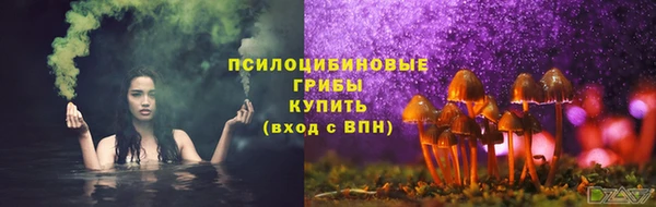 дживик Алексеевка