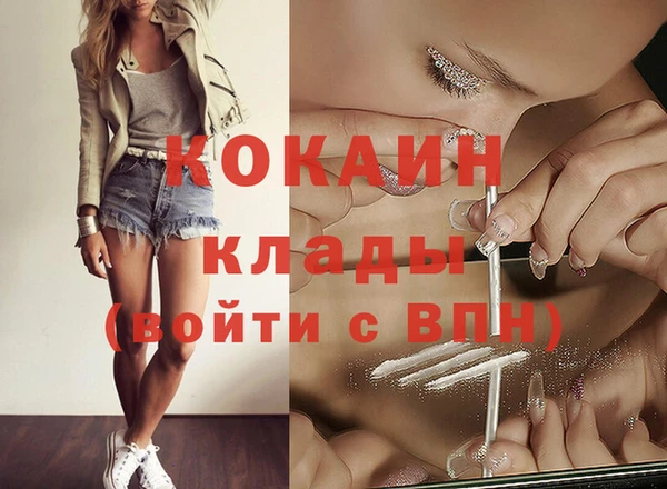 тгк Алексин