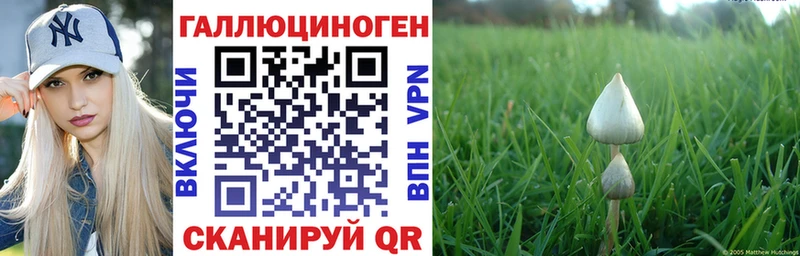 Галлюциногенные грибы Psilocybe  Первоуральск 